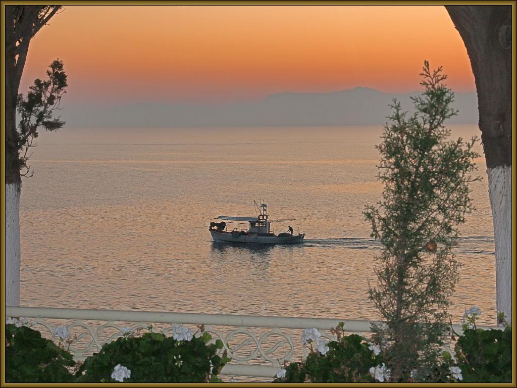 _Soooofia_'s tweet image. Καλημέρα σε όλες και όλους!!
Να έχουμε ένα όμορφο και ήρεμο ΣΚ!!
:-))