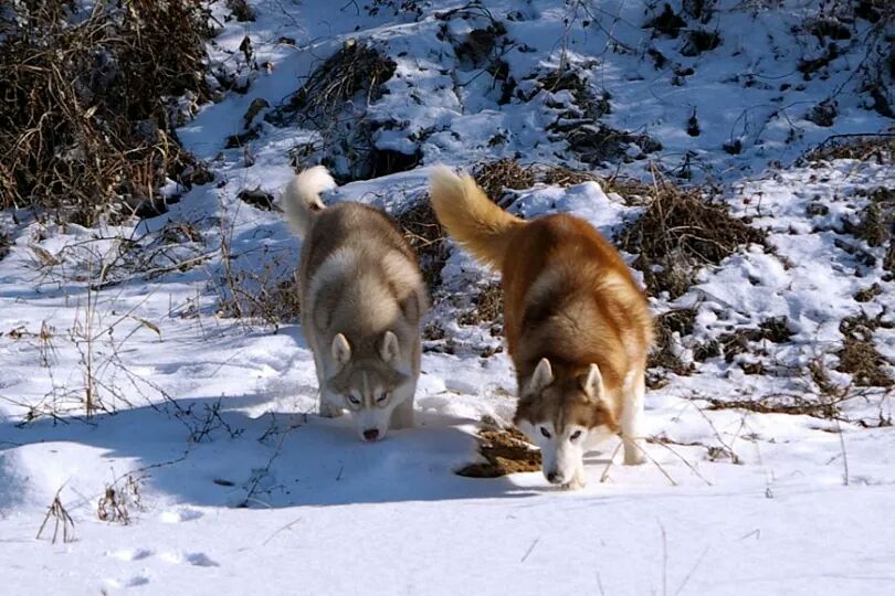 EdisubandiS's tweet photo. Caule and his father in south of korea http://t.co/LfwVYMtS0J