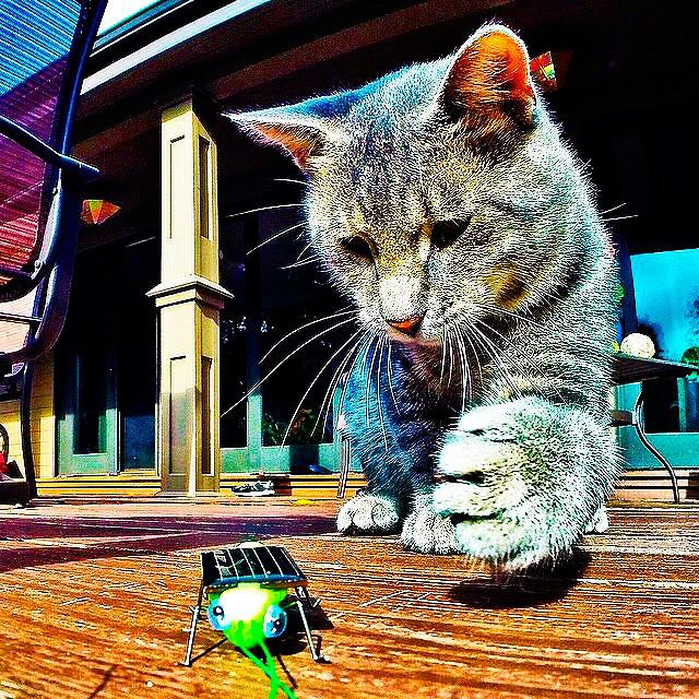 goprolab's tweet photo. Crazy shot by crazy guy @yoremahm, really nice shot. #goprolab #goprolabapp #labforgopro http://t.co/Hjb2dKDhjw