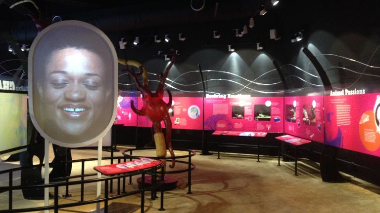 ChannelNewsAsia's tweet photo. .@ScienceCentreSG has a new exhibition for you to wrap your head around gray matter #Brainssss http://t.co/KxYAVfKqX2 http://t.co/6NjSD6S4TJ