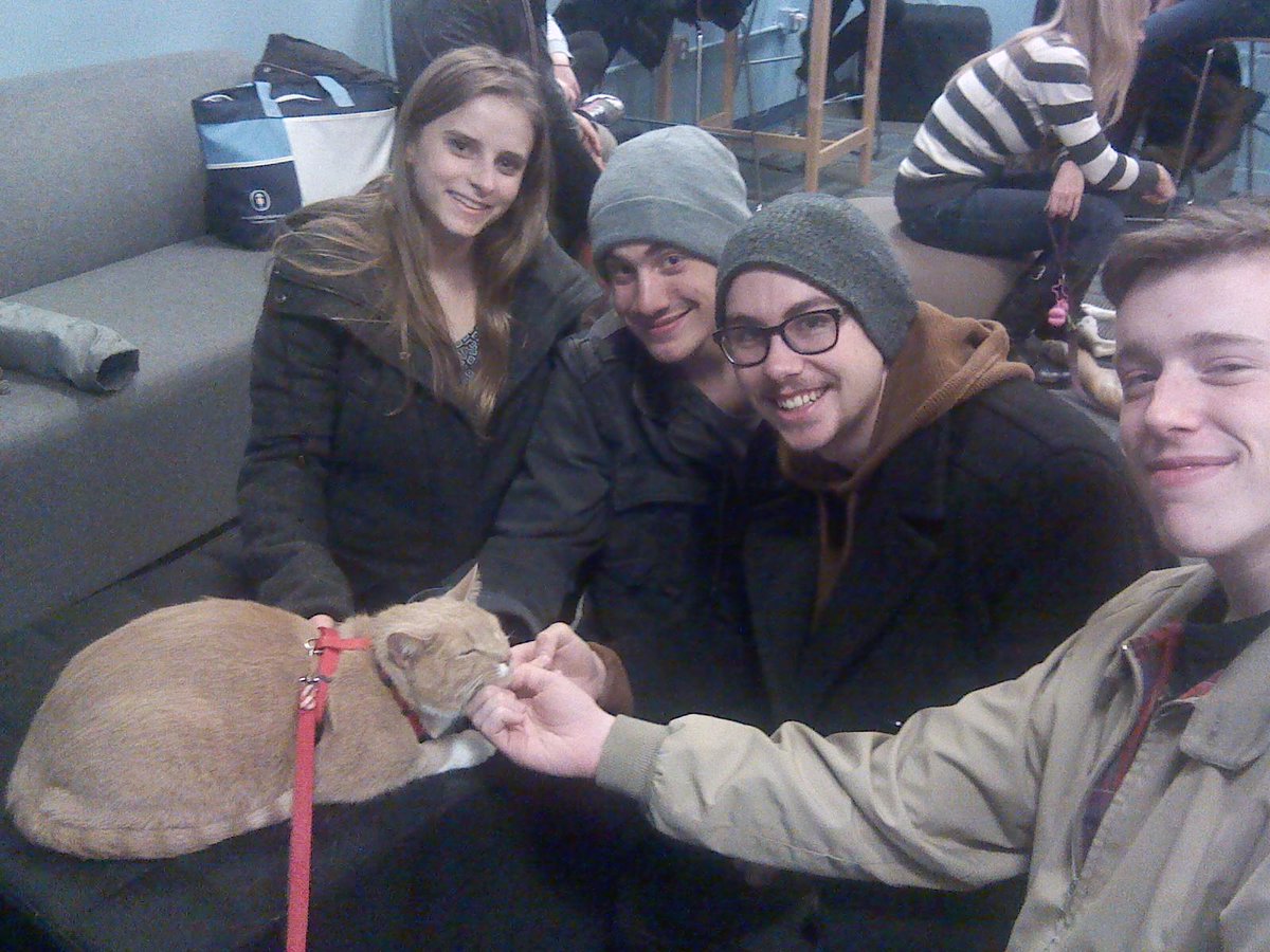 VitoVincentCat tweet picture