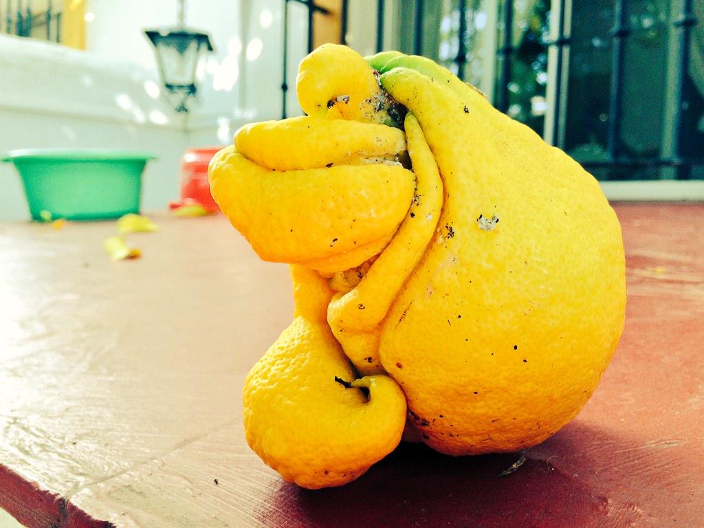 Embedded image permalink