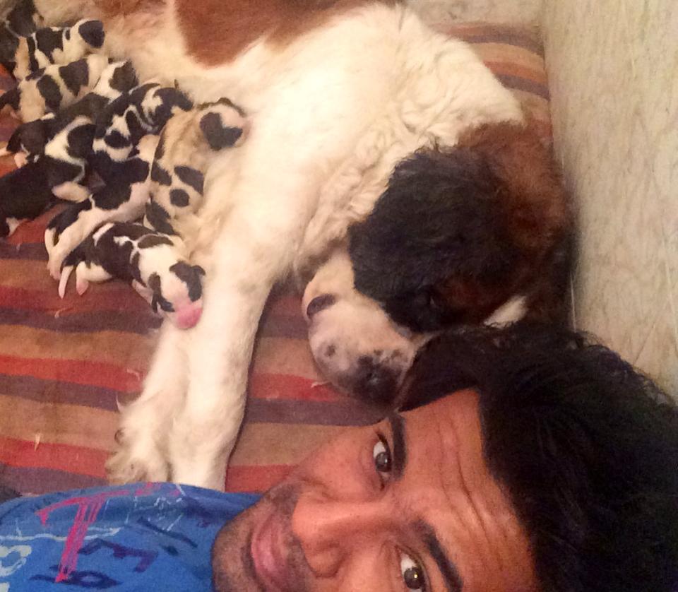 nehasclicks's tweet photo. RT @MySelfieStories: Bellas beautiful babies through Abhisheks eyes!
http://t.co/9UDtiYQFlD

#MySelfieStories #selfie http://t.co/j6b6QAkLpM