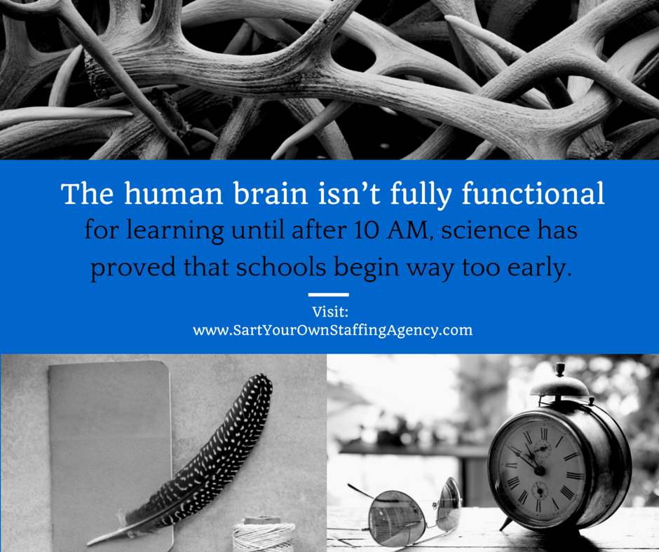 staffingpreneur's tweet photo. The human brain isn't fully functional for learning until after 10am... http://t.co/wko6Zd9C0c #howto #technology http://t.co/cNiWG8yGyH