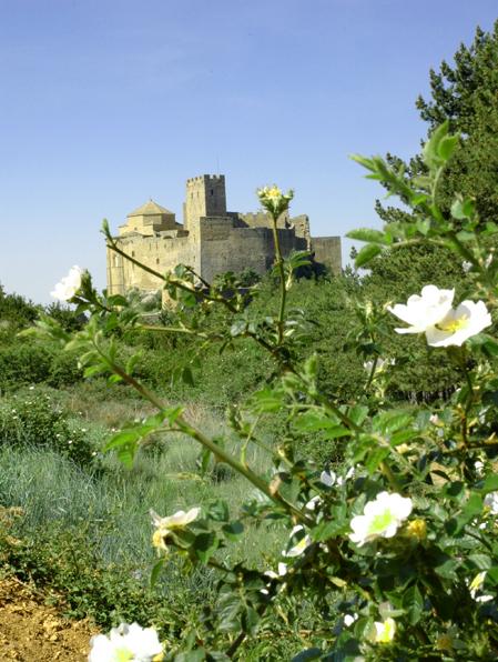 sendaes's tweet photo. La Comarca de La Hoya, #Huesca Mágnifico lugar para desconectar!! @turismoverdees @HoyadeHuesca @aragonturismo http://t.co/iGmuuwDTv5