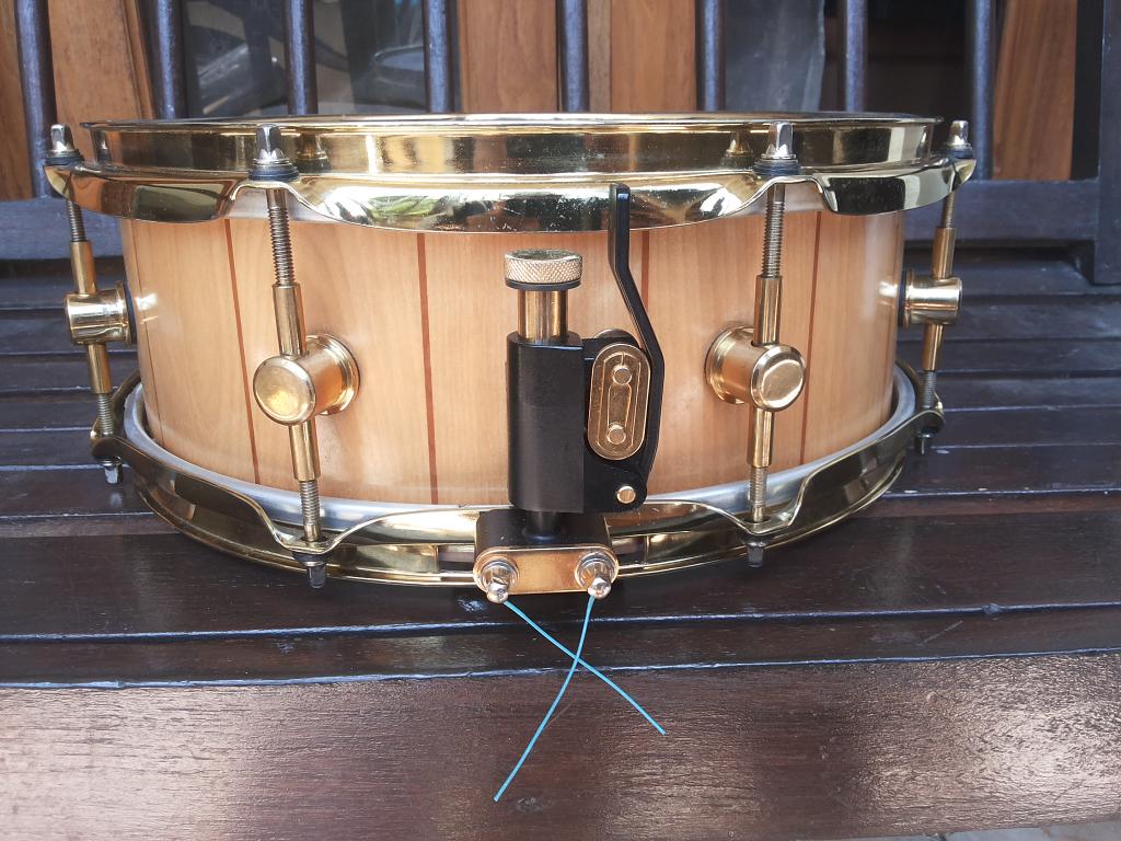 Samuel-Amadeus Music tweet media