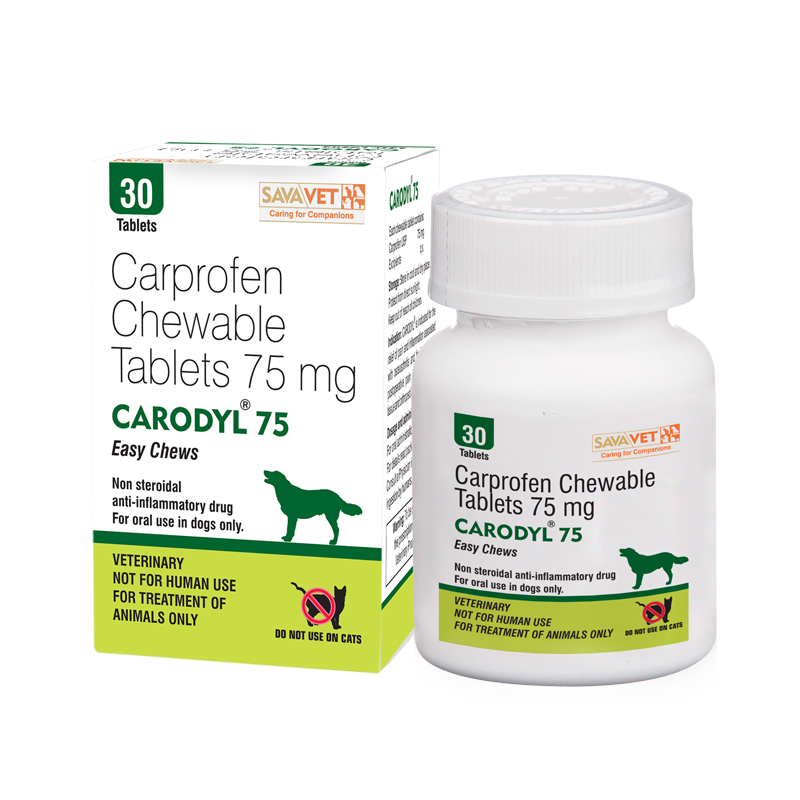 SAVAVet's tweet photo. #Carprofen chewable Tablets

*For fast #pain relief in Osteoarthritis
Read more @http://goo.gl/9GbgYG http://t.co/1Xf1751duG