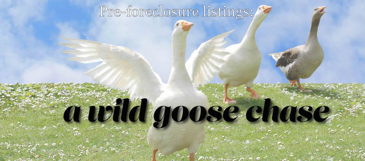 LifestylesofPDX's tweet image. Preforeclosure listings are wild goose… bit.ly/1BpMlDU #BuyingSelling #clientadvice #YourFamilyRealtor