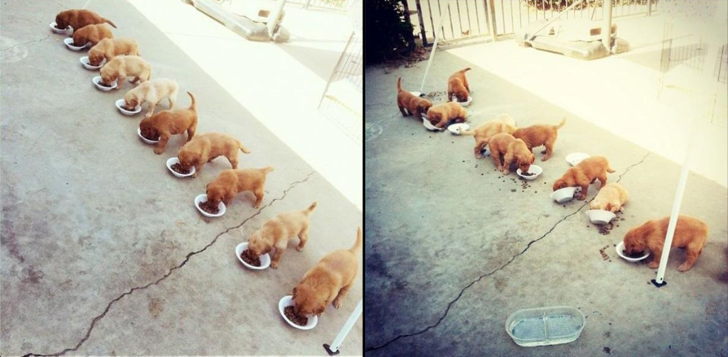 msdevUK's tweet photo. Multithreaded programming - theory and practice. #programmerhumor http://t.co/GdmRue4q7c