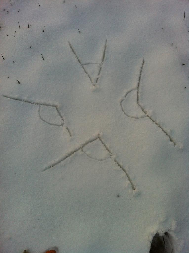 SteveConns's tweet photo. Outside making some sweet snow angles. http://t.co/MdiWvF45Af