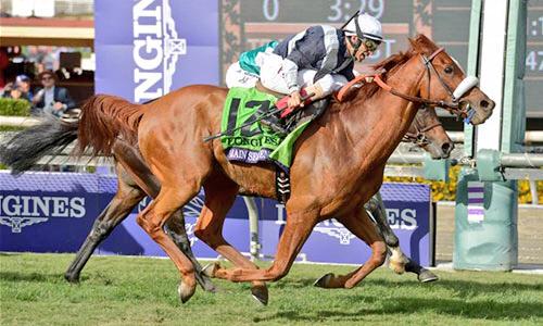 haraspaumar's tweet photo. De Flaxman Holding, Niarchos. Karakontie (JAP) y Main Sequence (USA) ganadores en las #BC2014 ganan John Deere Award http://t.co/hxh24vKNeb