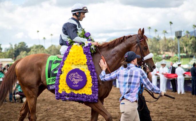 haraspaumar's tweet photo. De Flaxman Holding, Niarchos. Karakontie (JAP) y Main Sequence (USA) ganadores en las #BC2014 ganan John Deere Award http://t.co/hxh24vKNeb