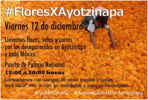 contingentedf's tweet photo. #FloresXAyotzinapa en puertas del Palacio Nacional v/@mirimixa http://t.co/ywA8RkhUpV