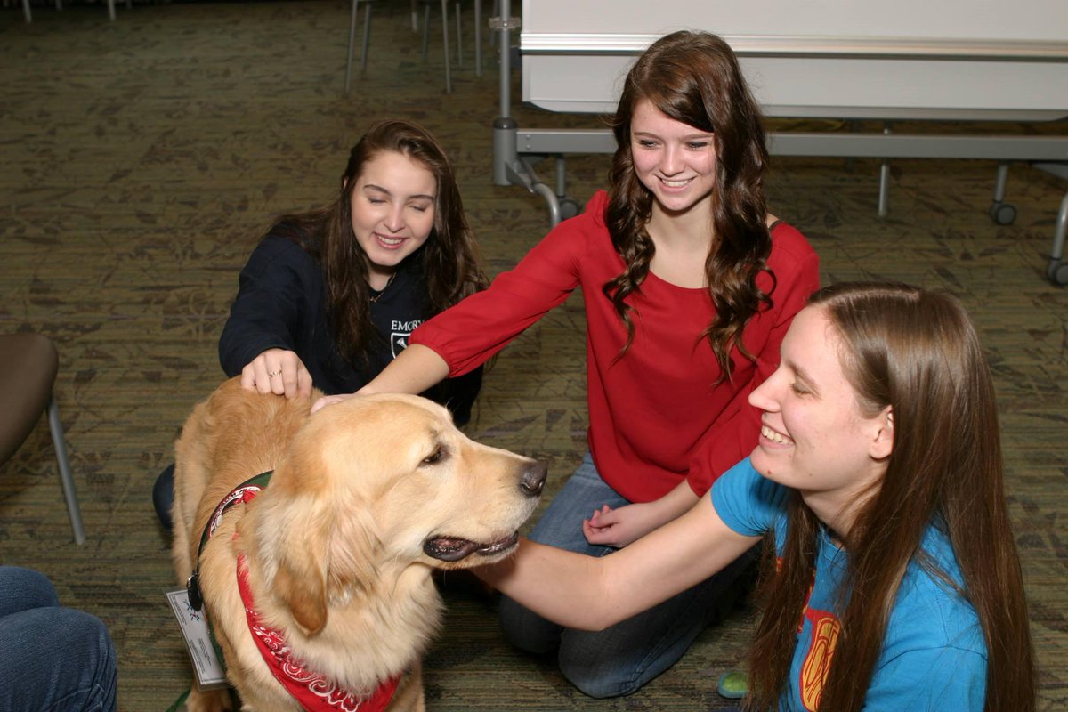 CanineAssistant's tweet photo. RT @EmoryLibraries: #Emorydogbreak last Fri was a howling success! Thanks to the students who came @CanineAssistant http://t.co/DIpngyVdzi