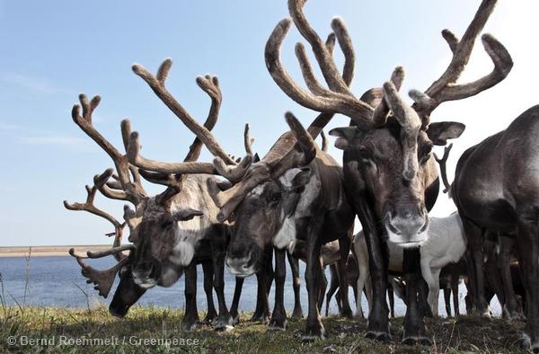 Permalien de l'image intégrée