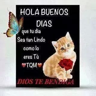 LicMonyrocha's tweet photo. Buenos días!! 
Que Dios te bendiga mucho siempre!!  ¡Feliz día!! http://t.co/2XlP0xlNi5