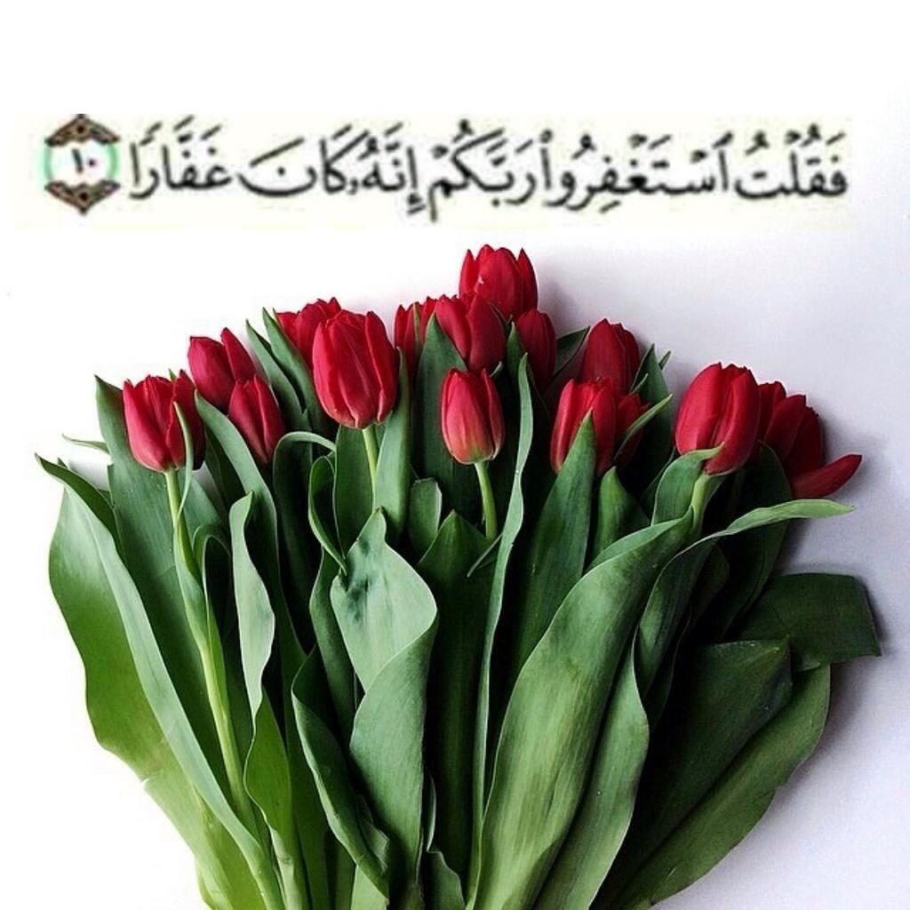 محسن بهكلي (@mb19772) on Twitter photo 