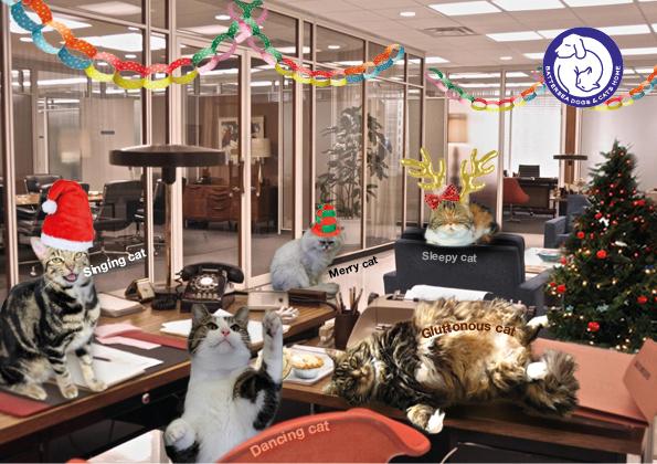 Battersea_'s tweet photo. So which #BatterseaCat were you at your office #Christmas party? http://t.co/udgW0FL8ZF