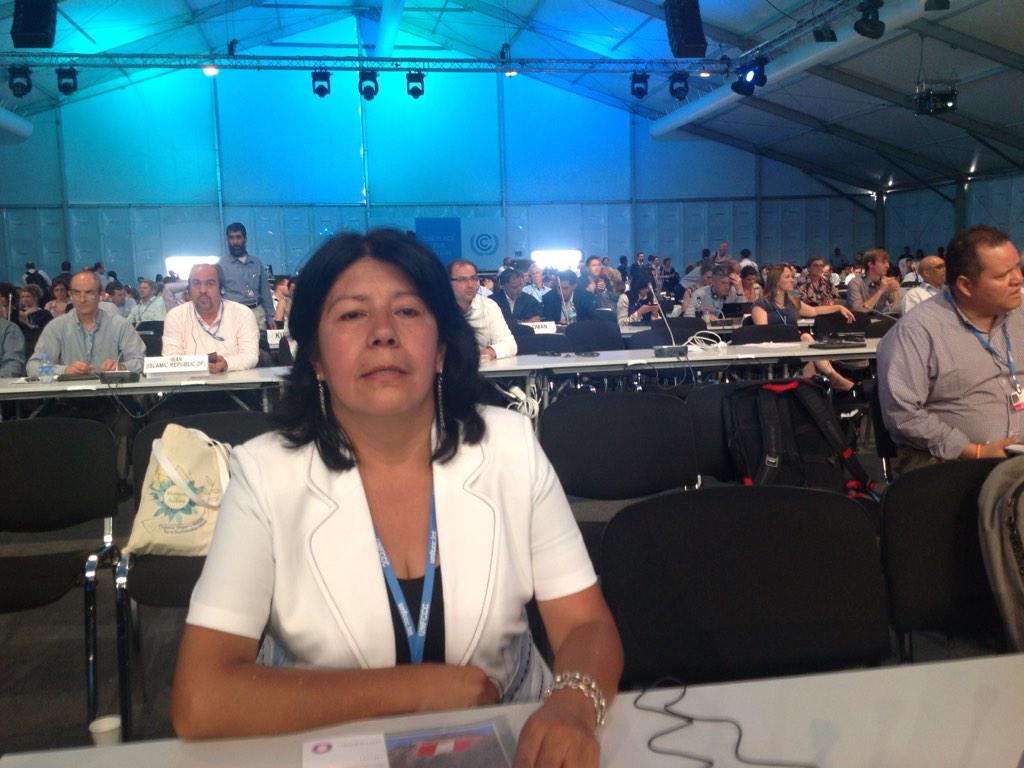 En la plenaria en la COP 20.