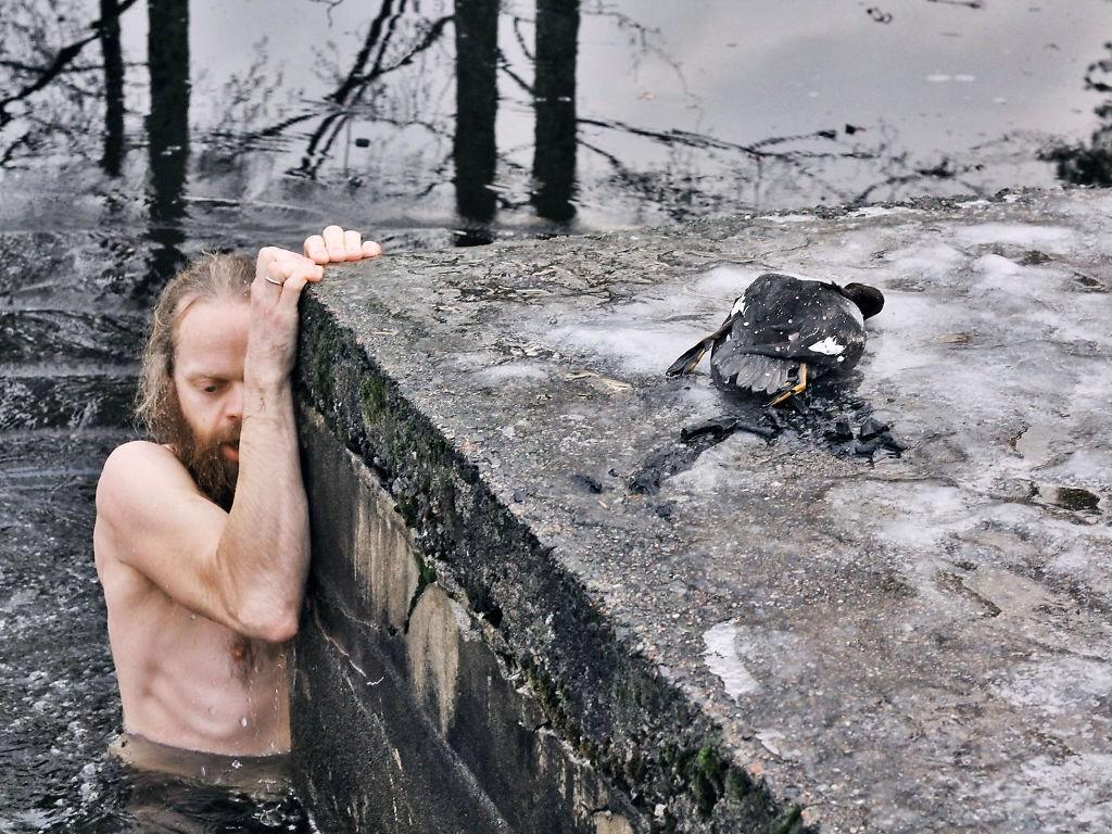 Justin_Britton's tweet photo. Awesome, because Norwegians.
http://t.co/7SOXnVYHGX #SafeDuck http://t.co/rtfqpTfSIv