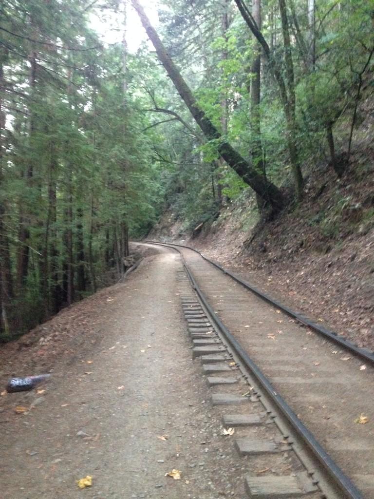 FindMyTrain's tweet photo. Where's this train? http://t.co/fPgkZcch6Y