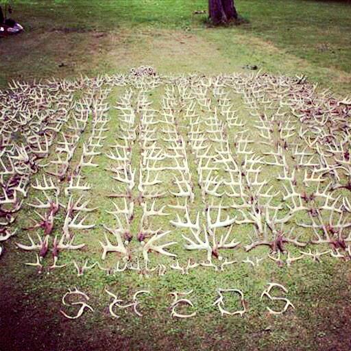 VenaticFanatics's tweet image. “@EvaShockey: Dear Santa, 
I know what I want for Christmas. 
Love, Eva http://t.co/g45lMq9JLm” wowwwww