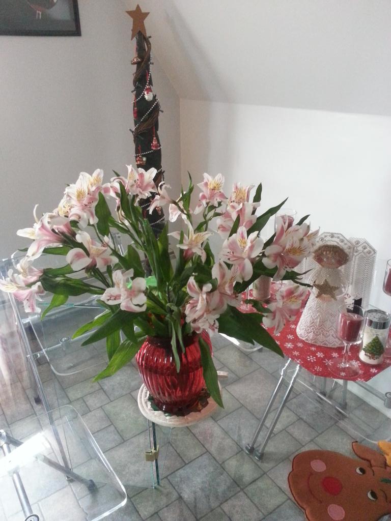 mll5k's tweet photo. @xclobo please extend a THANK YOU to ycpxc for the flowers. They  brighten up our house for the holidays! #YCPXC http://t.co/d6Q4XkiNYE
