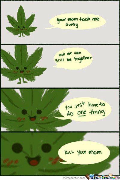 infantstoner's tweet photo. What momma don't know won't hurt her #stayhigh http://t.co/NYW4giNZx0