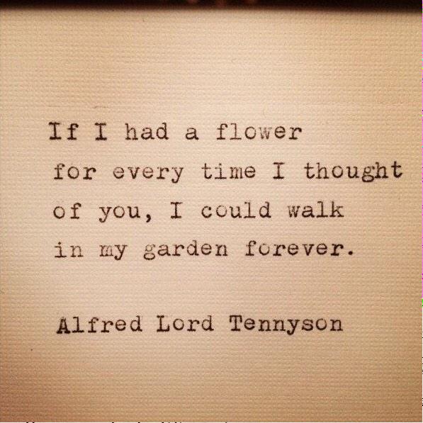 lovelymusing's tweet photo. If I had a flower... http://t.co/kqsnX1JBH4