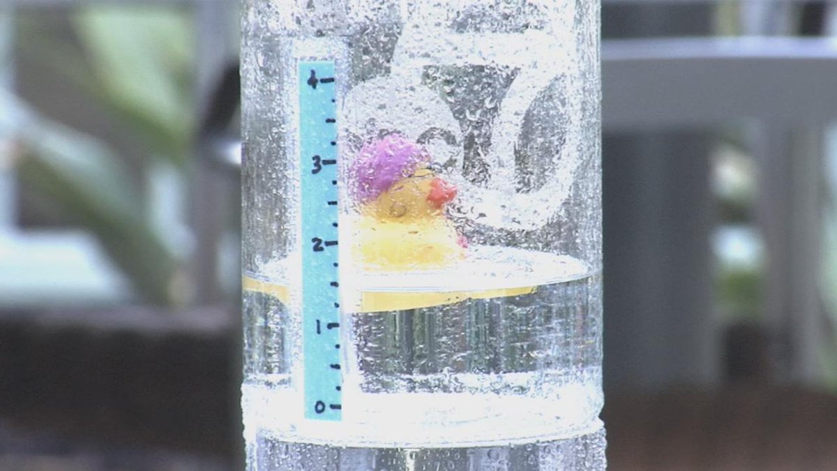 Stressed by the storm? Unwind with a view of the rubber duck rain gauge