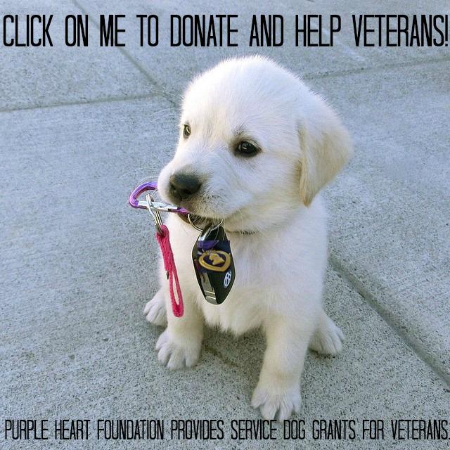MOPHSF's tweet photo. Purple Heart Foundation provides #servicedog grants for #veterans. Any size donation helps! http://t.co/uI3kdATexi http://t.co/YXvzfMfUXV