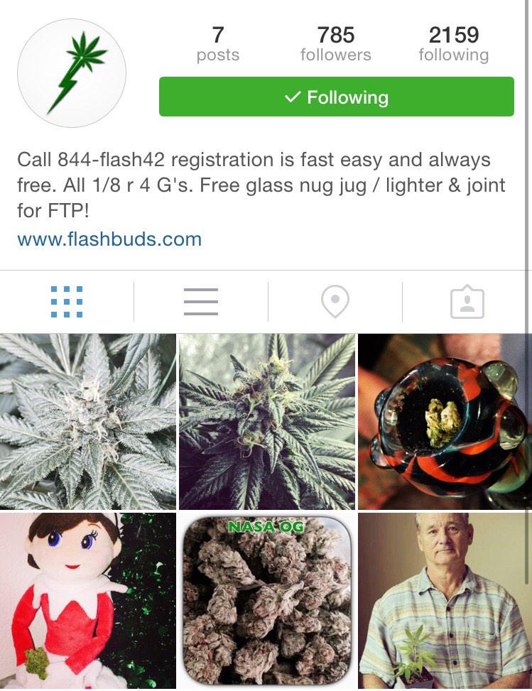FlashBuds's tweet photo. Make sure to follow us on @instagram. Our handle is @FlashBudsMMJ. Awesome content, deals, and pics! #flashbuds http://t.co/w3eo5es18B