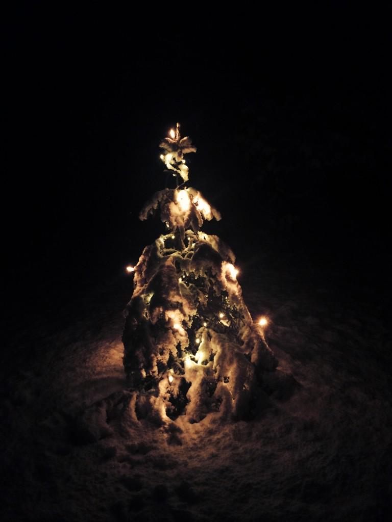LinaJoKl's tweet photo. 🎄🎅 http://t.co/2DD54wMZwY