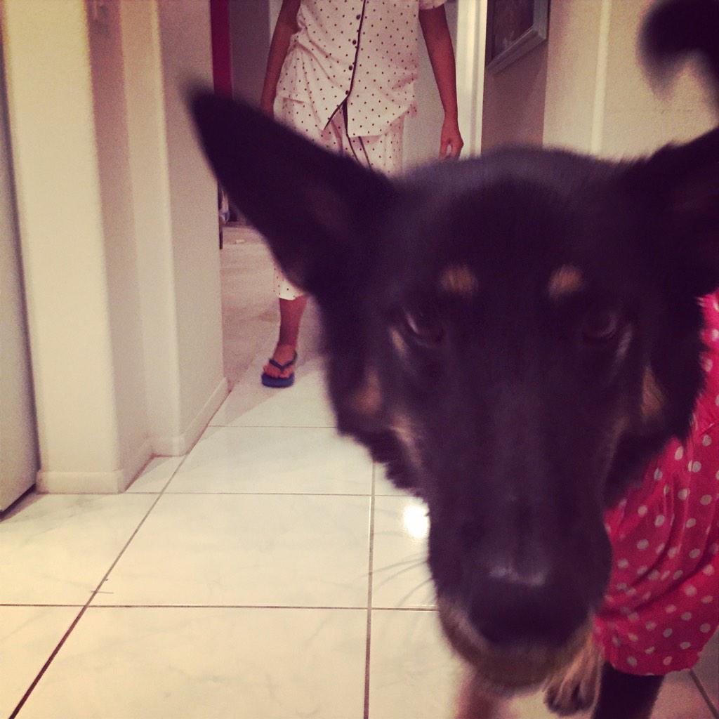 GoodGirlAthena's tweet photo. Grandma got me matching PJs http://t.co/OUNtzRE28p