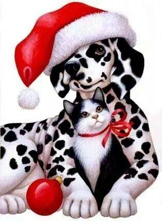 PrinslooDaleen's tweet photo. http://t.co/bOSJBXipBL