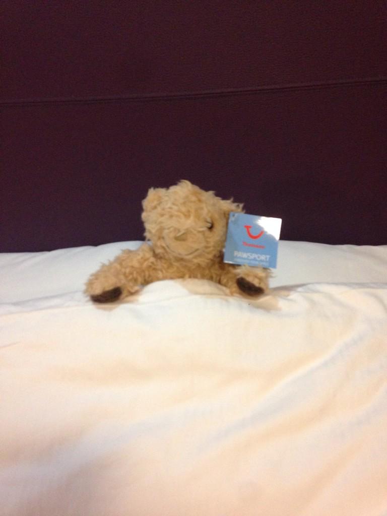 hannahcollins81's tweet photo. @TUISeasonalJobs Miles is dreaming about summer15, make your dreams a reality,  apply now at http://t.co/ToFXAKG7LQ http://t.co/CkmWSmhrZo