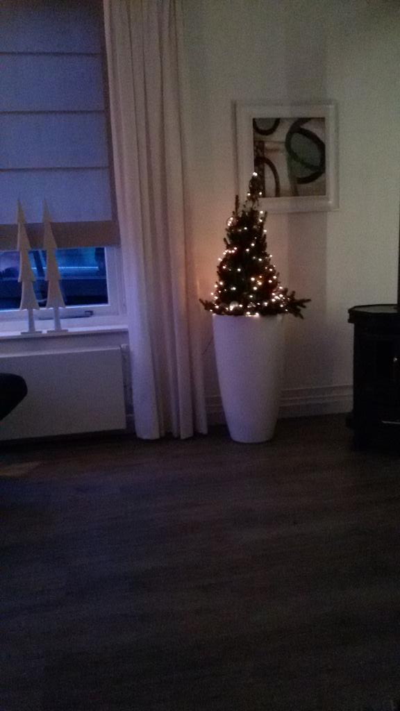 AnkClaessens's tweet photo. Xmastime @Home http://t.co/jwBB61ddGb
