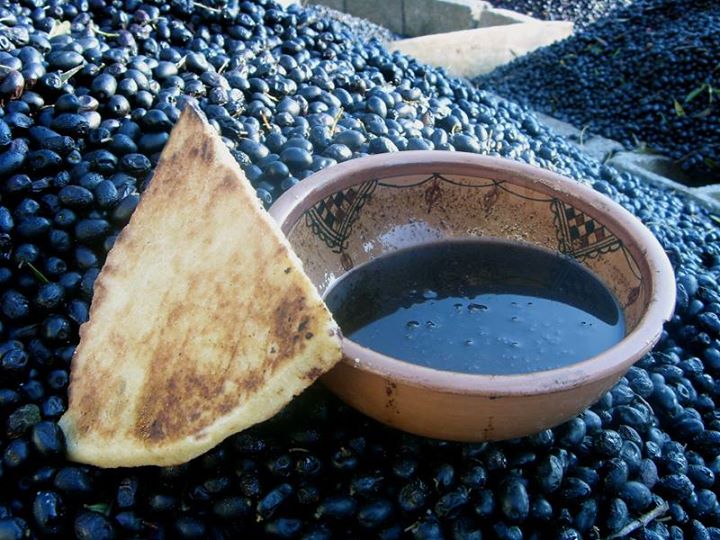aminemilka's tweet photo. #Kabyle #Culture #Kabylie #Amazigh #Azemur #Olive http://t.co/9sseTkGsod