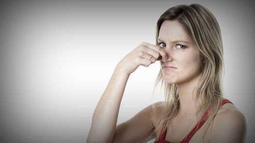 breakfvst's tweet photo. EVERYBODY FARTS – 9 FACTS YOU MAY NOT KNOW: http://t.co/eir8w4jgRU #fart #farts #flatulence #gas #smelly #eww #health http://t.co/NmfhkcYR3e