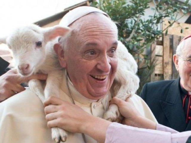UltimaHoracom's tweet photo. Las mascotas sí van al cielo, según el Papa http://t.co/Qing3XKy4B http://t.co/dJaxwpiBYY