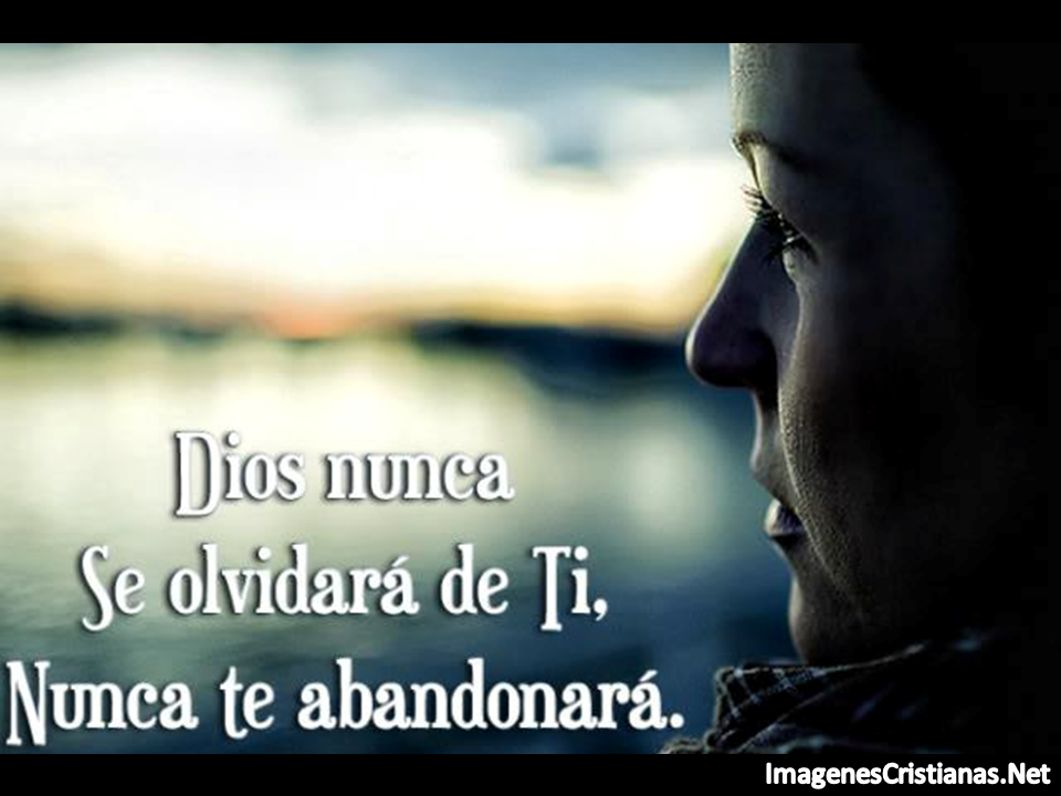 andreaca134 tweet picture