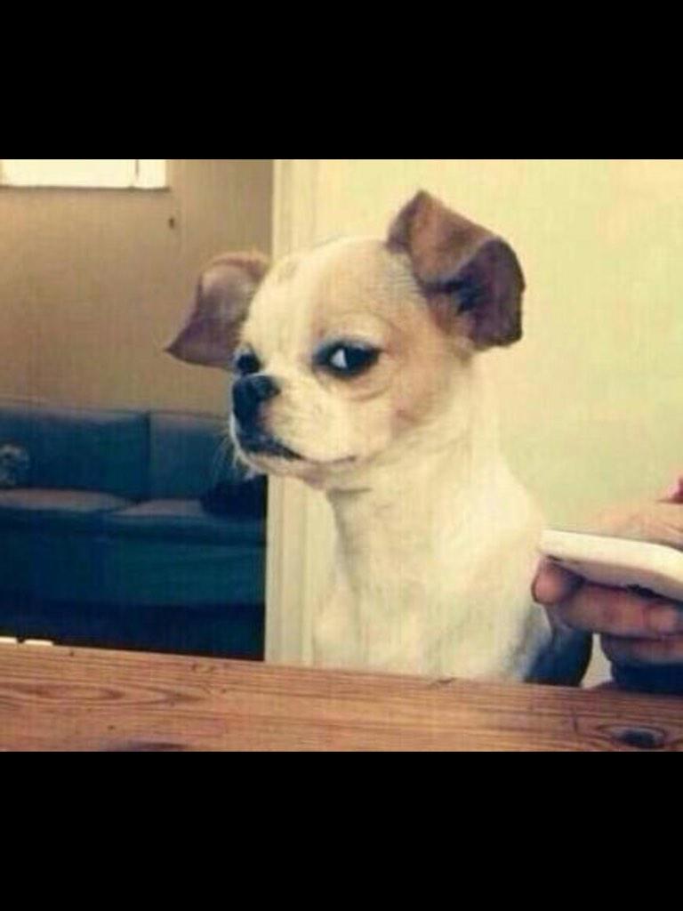 Rmartinez54R's tweet photo. When someone u don't like try's to make a joke http://t.co/55PHHrDUGE