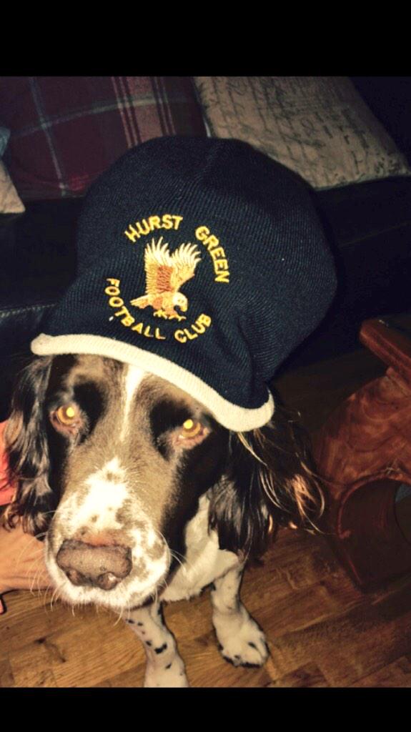 Hurstgreenfc's tweet photo. The new club beanie hats have arrived please see @nealebrown67 for purchases thank you. http://t.co/dVj9KKYqYD