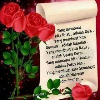 iis ti ayu tweet media