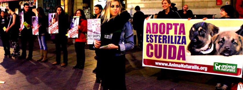AnimaNaturalis's tweet photo. Este sábado13 de diciembre,inicia nuestra campaña anual navideña para promover las adopciones de animales en #Palma http://t.co/Oj1UTqkUoR