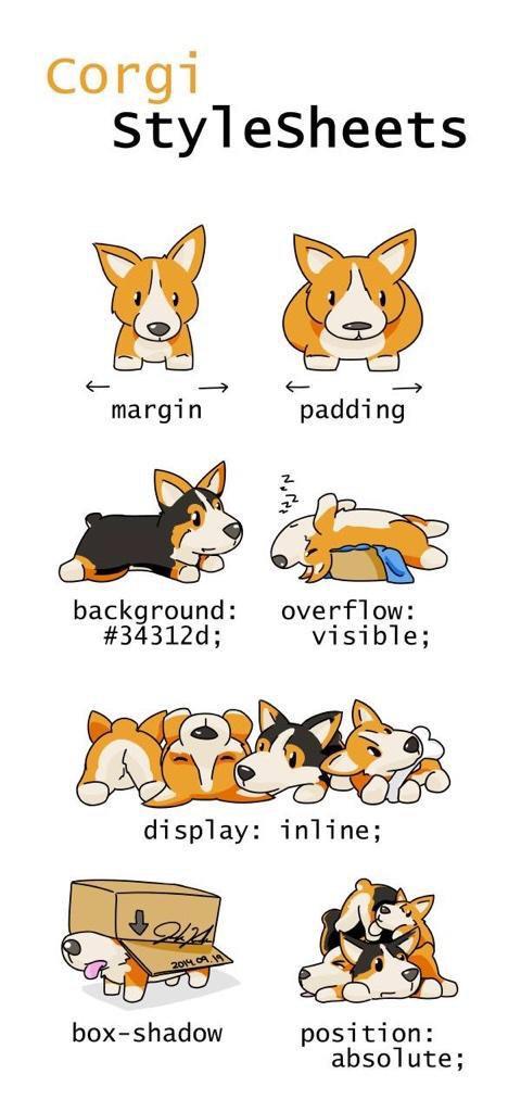 shsalinas2012's tweet photo. Corgi stylesheets... Adorable... http://t.co/qguwDGIkZn