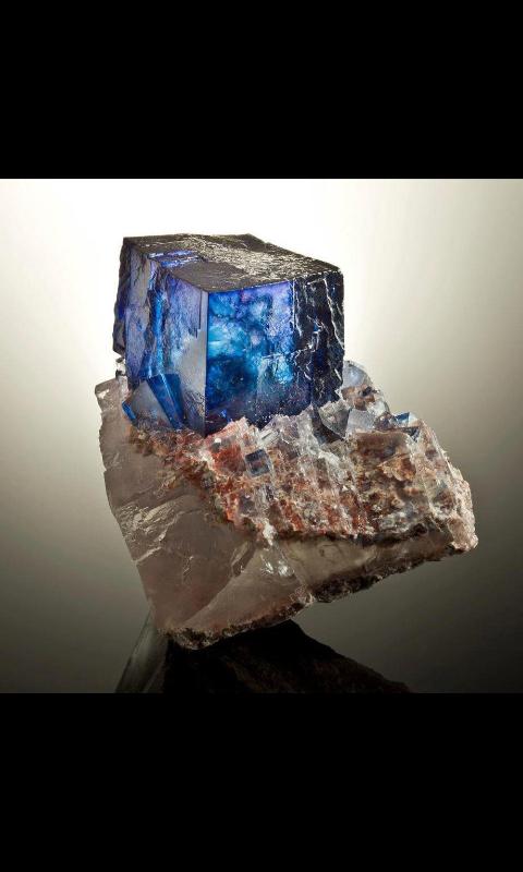 86ligHtyears's tweet photo. 😍 Halite crystals
( NaCl ; Rock salt )
#essentialmineral http://t.co/WrILAvUtE6