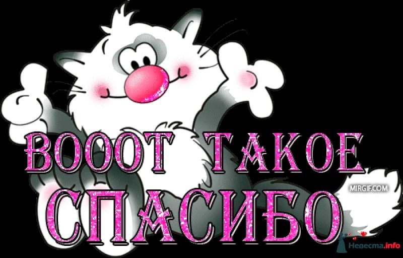 Открытки вот такое спасибо за поздравления, квиллинг елена