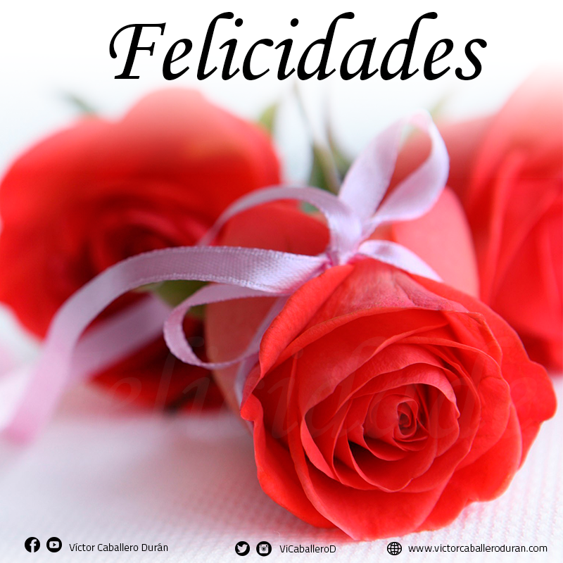 ViCaballeroD's tweet photo. En esta fecha tan especial, felicito a todas las Lupitas como les decimos de cariño, muchas felicidades para ustedes http://t.co/BnMvboYjU5