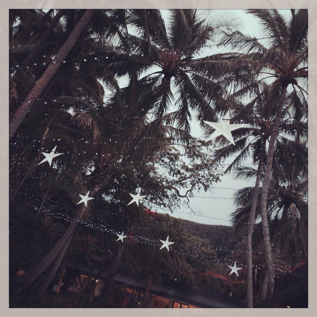 Hayman Island you are officially and suitably styled for Christmas! Enjoy 🌴xxx